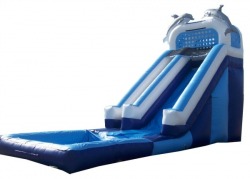 3835 997249817 Dolphins Water Slide