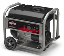 Small Generator (Runs up to 2 Blowers)