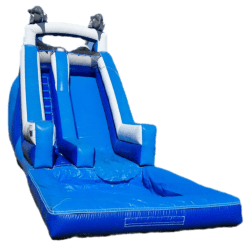 Dolphins Water Slide