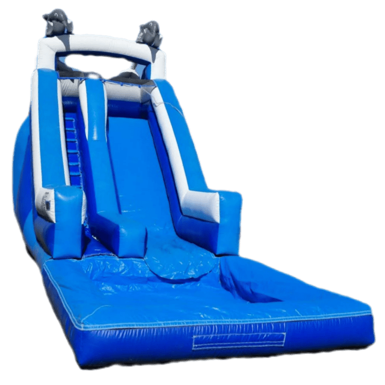 Dolphins Water Slide