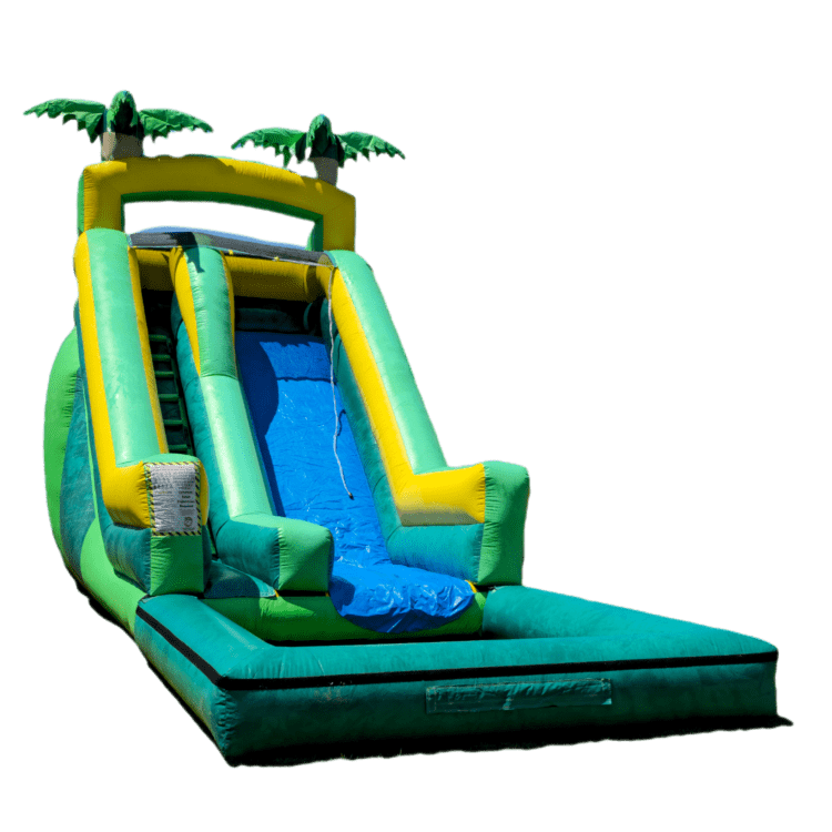 Palm Tree Water Slide