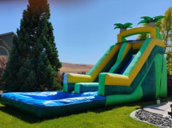 FB IMG 1753947703648 1753998858 Palm Tree Water Slide