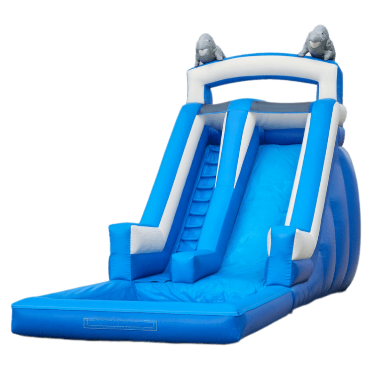 Dolphins Water Slide