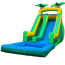 Palm Tree Water Slide
